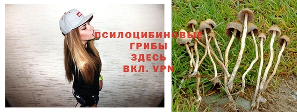 ALPHA PVP Алексеевка