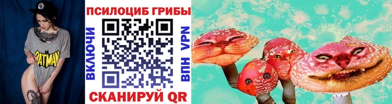 Псилоцибиновые грибы Psilocybe  Куровское 